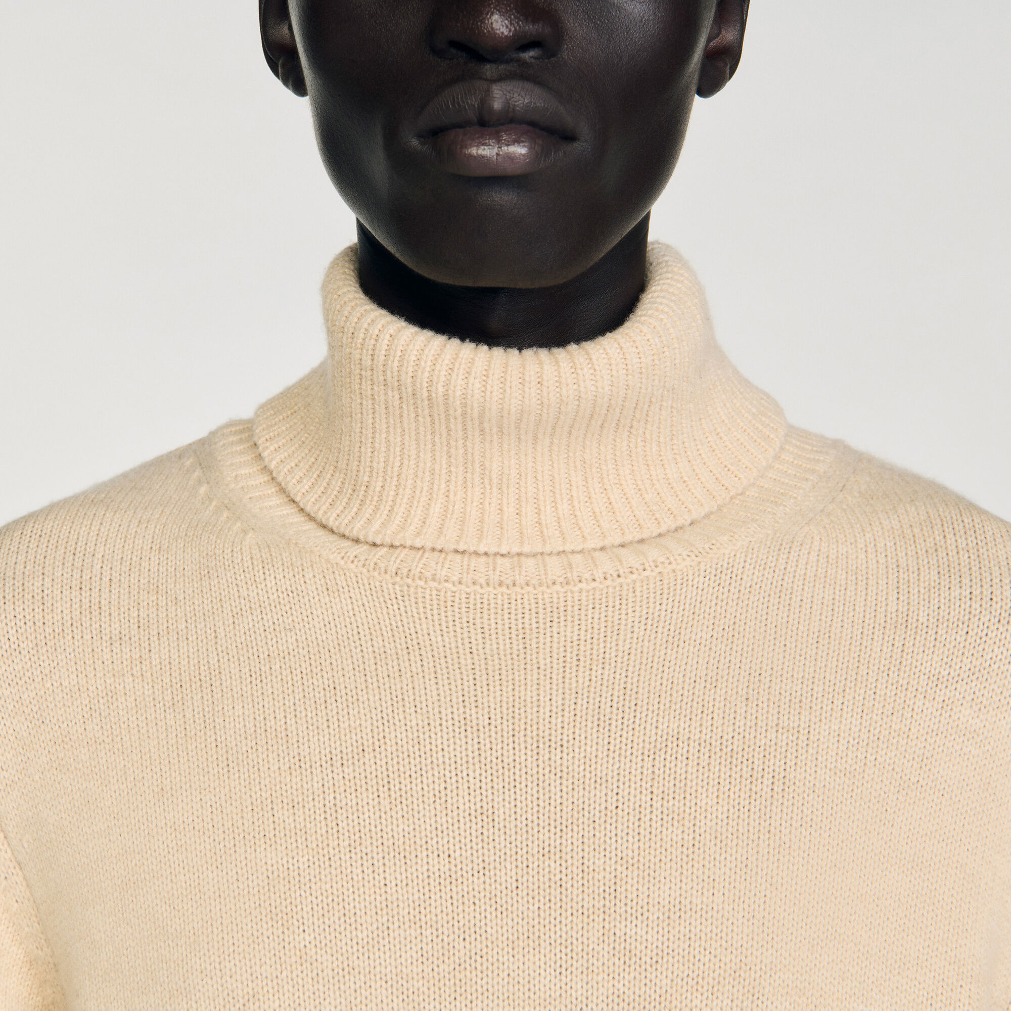 Maglione dolcevita in lana e cashmere