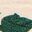 Ecru / Vert