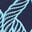 Blu navy
