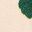 Ecru / Vert